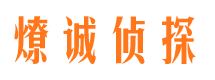 福田出轨调查